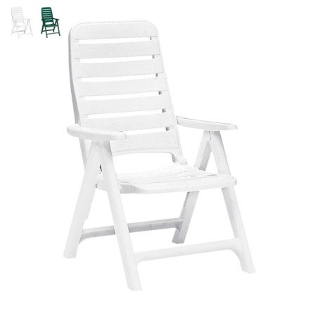Sedia Reclinabile da Esterno Sdraio Plastica Premiere Grand Soleil