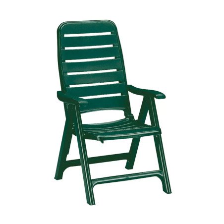 Sedia Reclinabile da Esterno Sdraio Plastica Premiere Grand Soleil