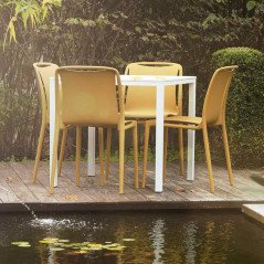 Grand Soleil Sedie Moderne in Polipropilene Colorate Velair