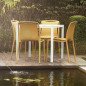 Grand Soleil Sedie Moderne in Polipropilene Colorate Velair