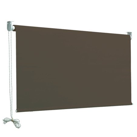 Tenda a Caduta Verticale da Balcone 150x250 cm Senza Braccia